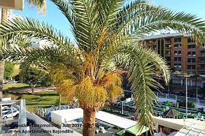 726- Torremolinos Bajondillo